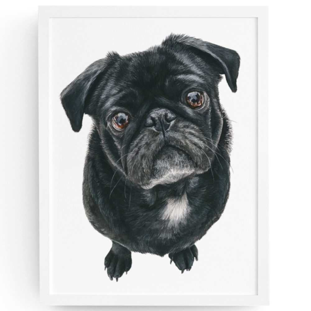 Watercolor Black Pug Dog Pet Portrait Wall Art Print Poster Unframed